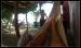 sinaloa-mexico-overview-9.jpg