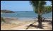 sinaloa-mexico-overview-8.jpg