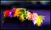 CarolineIslands-surf-exp-43.jpg