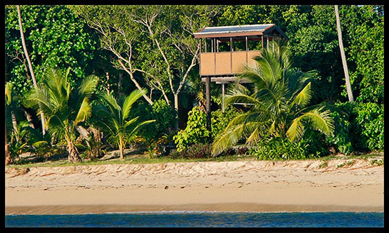 Tavarua Island Island Surfing - Surfer, Palm Trees & Sunset Sticker for  Sale by elvisg03