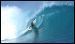 mentawais-MV-addiction-surf-charter-32.jpg