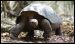 galapagos-eco-tours-14.jpg