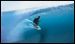 mentawais-pelagic-surf-charters-waves-11.jpg