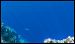 caroline-islands-diving-15.jpg