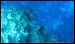 caroline-islands-diving-4.jpg