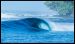 mentawais-surf-charter-star-koat-2.jpg