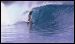 mentawais-pelagic-surf-charters-waves-12.jpg