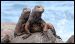 galapagos-travel-tours-10.jpg