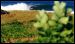 nicagagua-north-overview-2.jpg