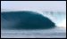 mentawais-tengirri-surf-charter-5.jpg