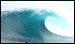 mentawais-MV-addiction-surf-charter-26.jpg