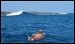 galapagos-surf-1.jpg